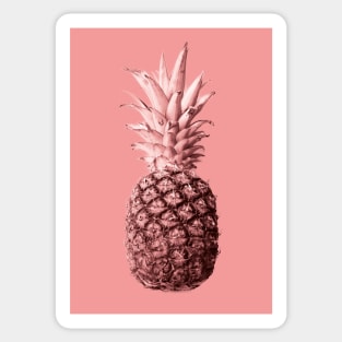 Pineapple 04 Sticker